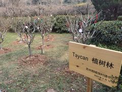 -白马涧龙池景区