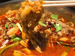 牛蛙-宽口美蛙鱼头(大唐西市店)