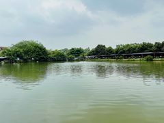 景观位-伟记牛蹄(道滘店)