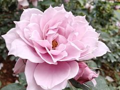 -人民公园(罗湖区)