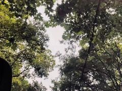 -TESLA 特斯拉(上海太古汇体验店)