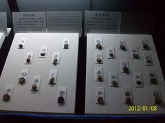 古陶文明博物馆&nbsp;(11)-古陶文明博物馆