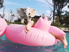 -青岛得宝湾维景国际大酒店(五四广场奥帆中心店)