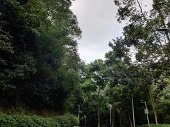 -火炉山森林公园