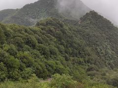 -神农山景区