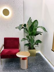 -JUNO hair salon