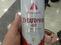 -谢列梅捷沃国际机场