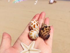 -月亮湾