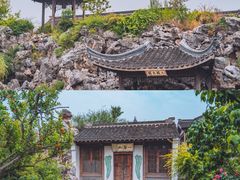 -芥子园