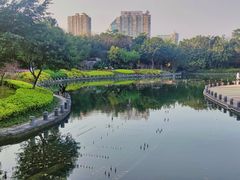 -南宁南湖公园