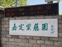 -嘉定紫藤园