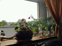 阳台-Together·泰式按摩精油SPA(天山店)