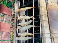 -尚庄度假村·庭台树下·户外烧烤·团建CS·轰趴营地(上庄水库店)