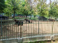 -秦皇岛野生动物园