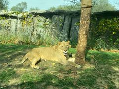 -北京野生动物园