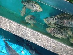 -宝燕海鲜(好爱店)