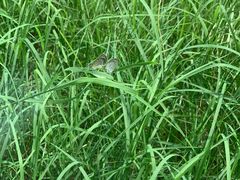 -上海西上海奥杰汽车销售服务有限公司-西停车场