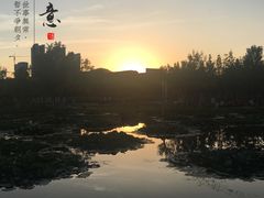 -前关湿地公园