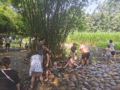 -成都市活水公园