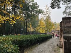 -塔子山公园