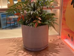 -菲滋意式餐厅(富阳东方茂店)
