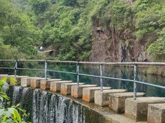 -大奇山国家森林公园