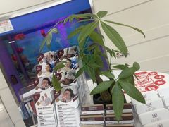 -雅悦齿科(顾村公园店)