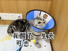 -联合动物医院(光谷诊疗中心)