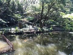 -桃花岛风景旅游区