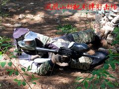 场馆-凤凰山标靶彩弹射击场