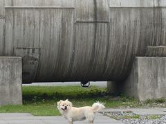 -南京晨光1865创意产业园