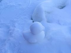-绿野森林乐园冰雪季
