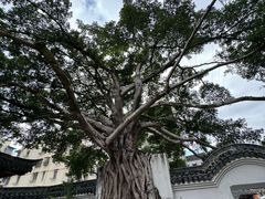-墨池公园