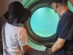 -白鹤梁水下博物馆
