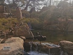 -罗红摄影艺术馆