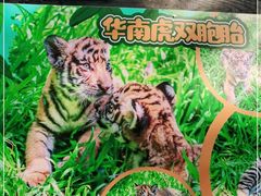 -广州长隆野生动物世界