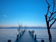 -洱海月湿地公园