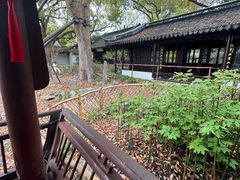-上海醉白池公园