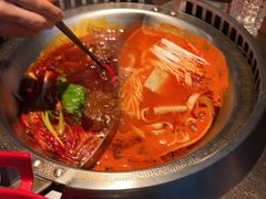 -辣伍鲜毛肚老火锅(元一店)