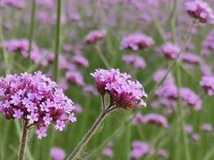 -杭州城北体育公园