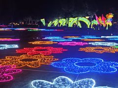 -眉山湿地公园(东坡区)