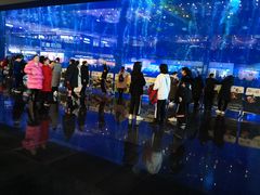 -成都浩海立方海洋公园