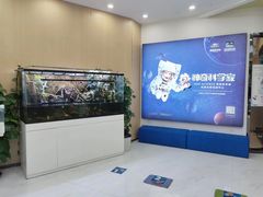 -神奇科学家STEAM科学实验科创赛事机器人编程逻辑思维MadScience(长宁来福士校区)