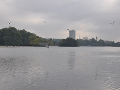 -海德公园