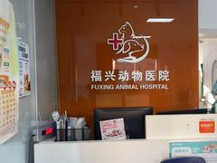 -瑞派福兴宠物医院犬猫全科·骨科·中西医结合(河东店)