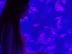 -沈阳海洋探索中心