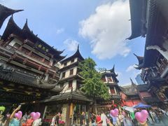 -绿波廊(豫园店)