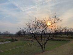 -盘龙城国家考古遗址公园