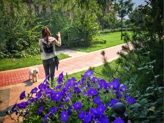 -天鹅湖生态旅游风景区