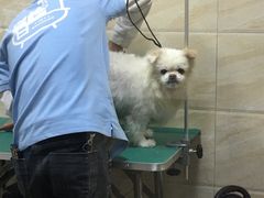 -安安宠医·安宠宠物医院